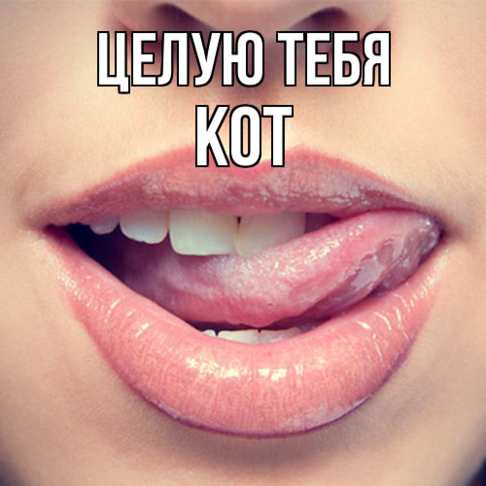 Открытка на каждый день с именем, Кот Целую тебя губы с языком Прикольная открытка с пожеланием онлайн скачать бесплатно 