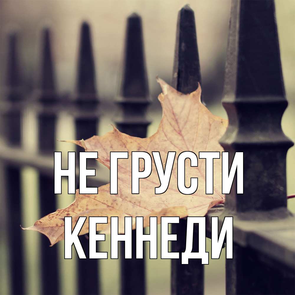 Открытка на каждый день с именем, Кеннеди Не грусти лист клена Прикольная открытка с пожеланием онлайн скачать бесплатно 