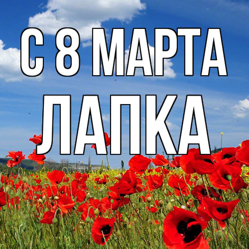 Открытка на каждый день с именем, лапка C 8 МАРТА международный женский день 1 Прикольная открытка с пожеланием онлайн скачать бесплатно 
