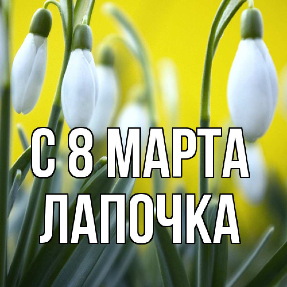 Открытка на каждый день с именем, лапочка C 8 МАРТА весенние цветы Прикольная открытка с пожеланием онлайн скачать бесплатно 
