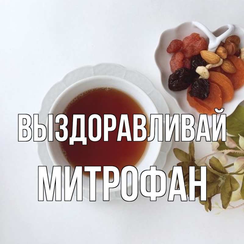 Картинка Выздоравливай, Митрофан