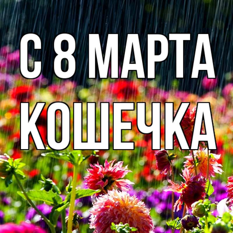 Картинка C 8 МАРТА, кошечка