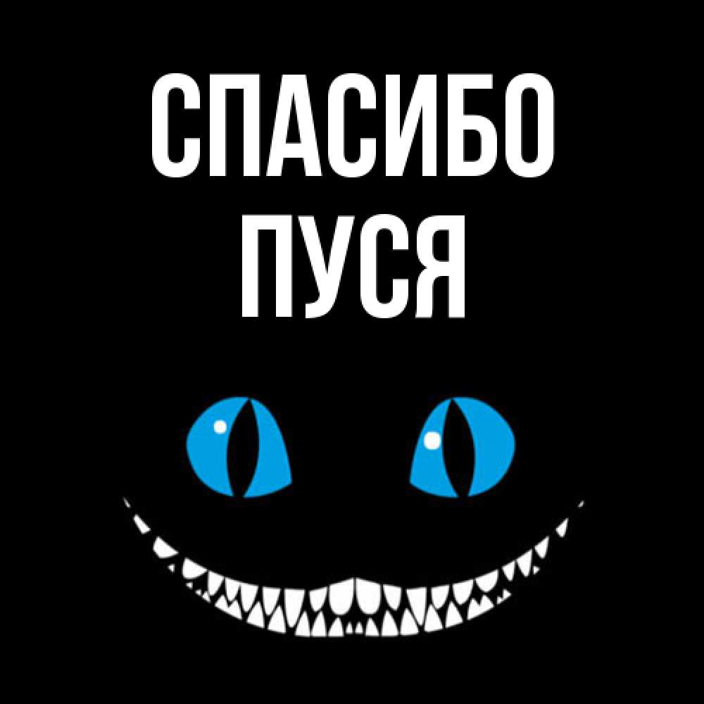 Открытка на каждый день с именем, Пуся Спасибо благодарю от чеширика Прикольная открытка с пожеланием онлайн скачать бесплатно 