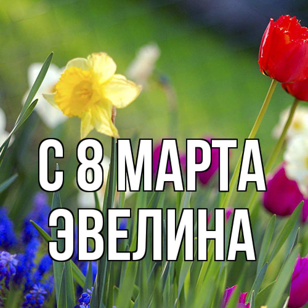 Открытка на каждый день с именем, Эвелина C 8 МАРТА международный женский день 3 Прикольная открытка с пожеланием онлайн скачать бесплатно 
