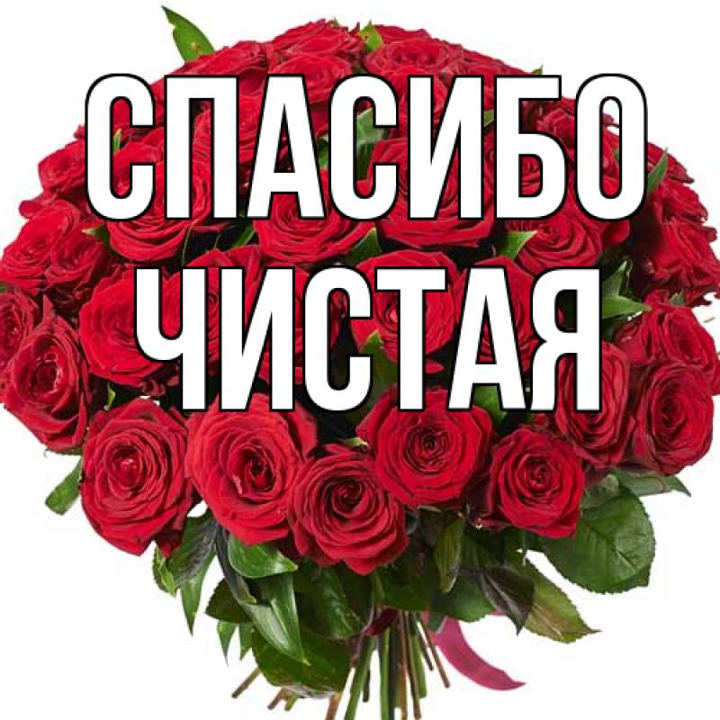 Картинка Спасибо, Чистая