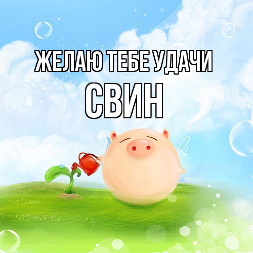 Открытка на каждый день с именем, Свин Желаю тебе удачи поросенок поливает цветок. летнее настроение Прикольная открытка с пожеланием онлайн скачать бесплатно 