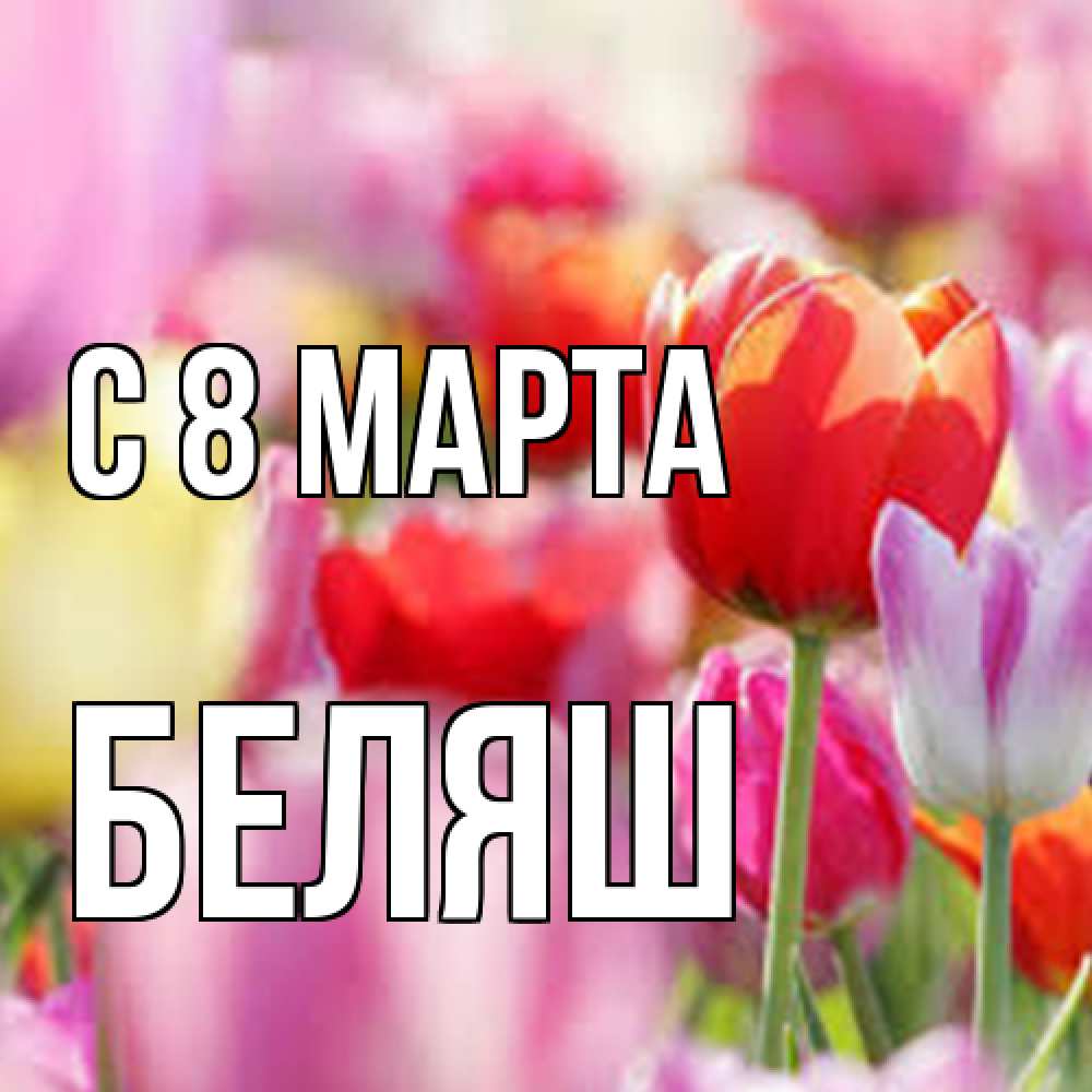 Открытка на каждый день с именем, Беляш C 8 МАРТА на международный женский день 2 Прикольная открытка с пожеланием онлайн скачать бесплатно 