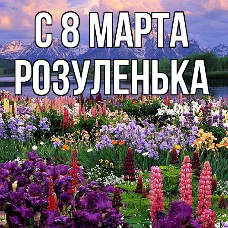 Картинка C 8 МАРТА, Розуленька