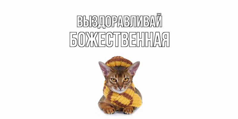 Картинка Выздоравливай, божественная