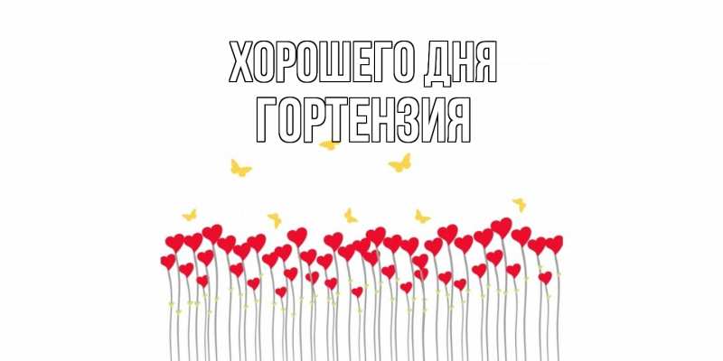 Картинка Хорошего дня, Гортензия
