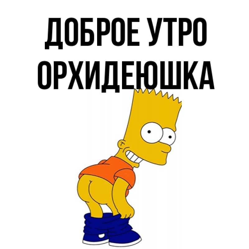 Картинка Доброе утро, Орхидеюшка