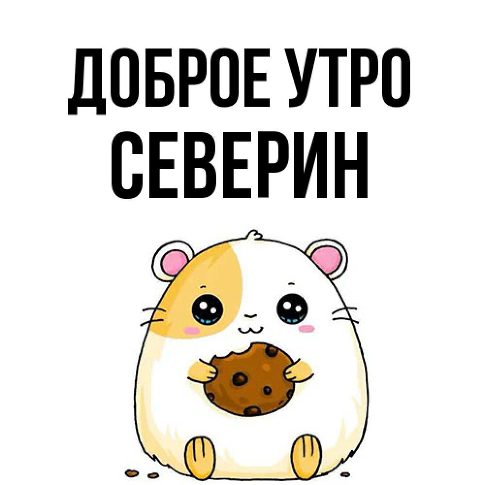 Открытка на каждый день с именем, Северин Доброе утро есть печеньку. Утречко Прикольная открытка с пожеланием онлайн скачать бесплатно 