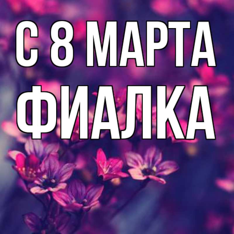 Картинка C 8 МАРТА, Фиалка