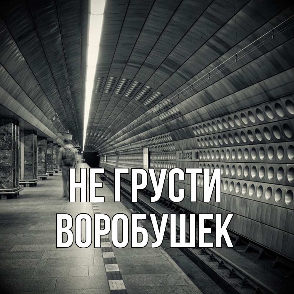 Открытка на каждый день с именем, Воробушек Не грусти пустая станция метро Прикольная открытка с пожеланием онлайн скачать бесплатно 