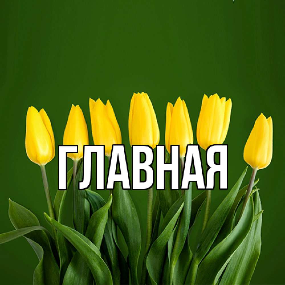 Открытка на каждый день с именем, настя Главная желтого цвета 3 Прикольная открытка с пожеланием онлайн скачать бесплатно 