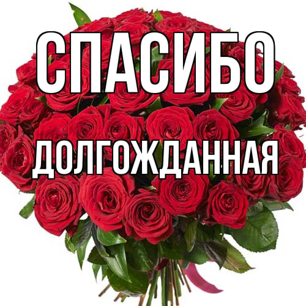 Открытка на каждый день с именем, Долгожданная Спасибо букет красных роз Прикольная открытка с пожеланием онлайн скачать бесплатно 