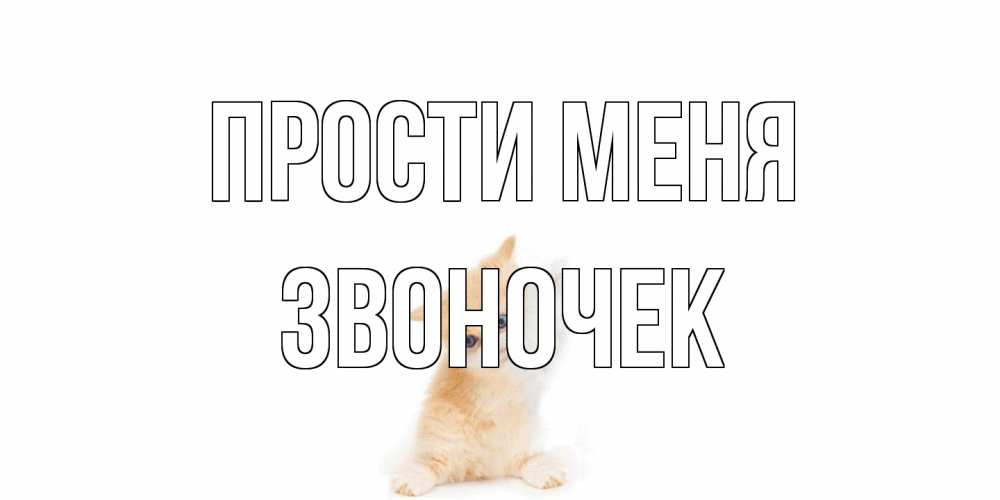Открытка на каждый день с именем, Звоночек Прости меня кот Прикольная открытка с пожеланием онлайн скачать бесплатно 