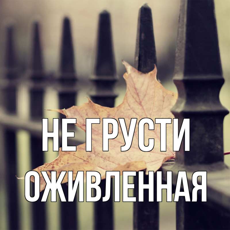 Картинка Не грусти, Оживленная