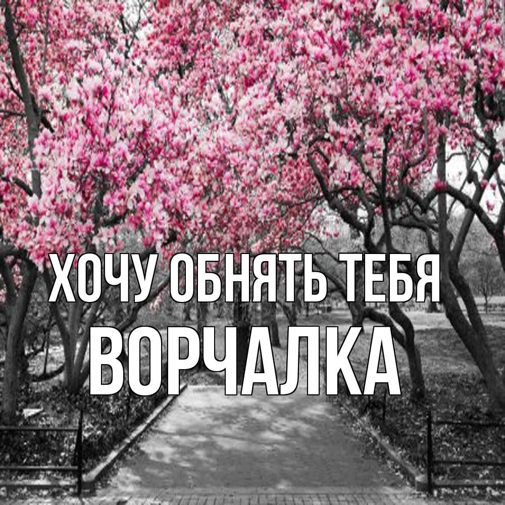 Открытка на каждый день с именем, Ворчалка Хочу обнять тебя обработанное фото Прикольная открытка с пожеланием онлайн скачать бесплатно 