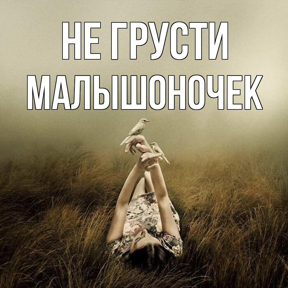 Открытка на каждый день с именем, Малышоночек Не грусти поле и туман Прикольная открытка с пожеланием онлайн скачать бесплатно 