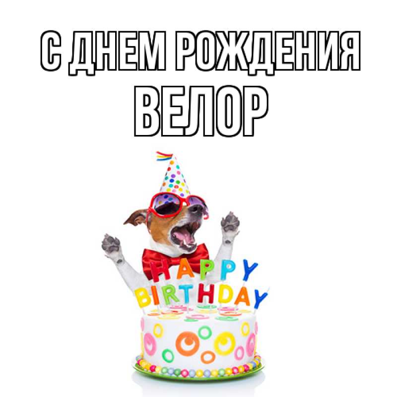 Картинка С днем рождения, Велор