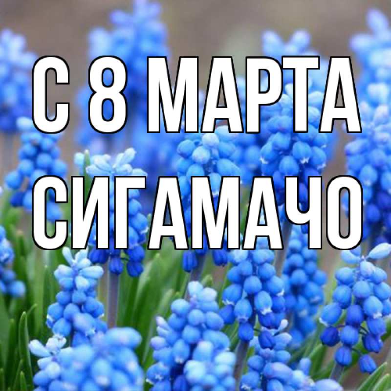 Картинка C 8 МАРТА, Сигамачо