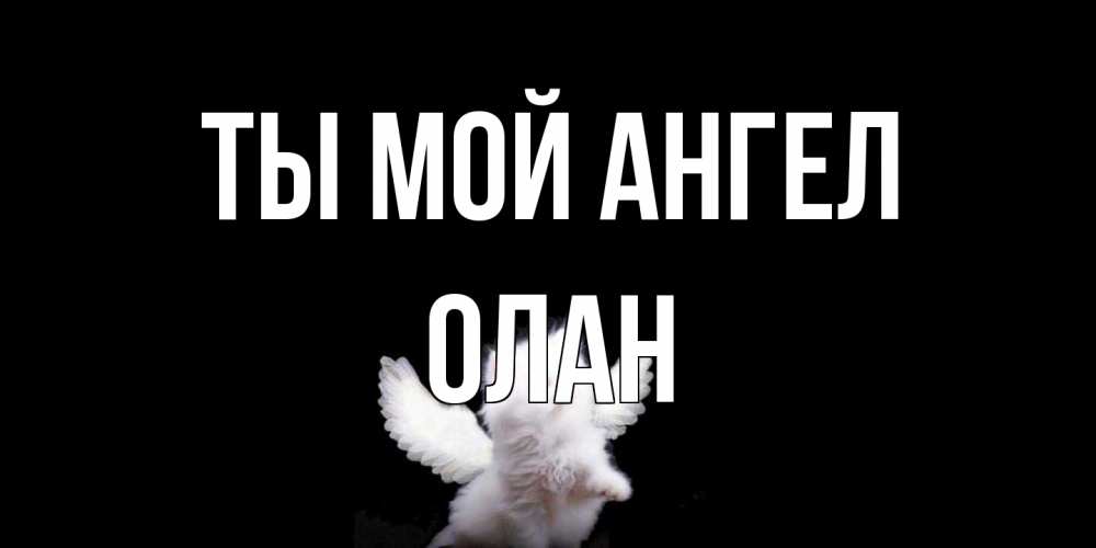 Открытка на каждый день с именем, Олан Ты мой ангел Кот ангел Прикольная открытка с пожеланием онлайн скачать бесплатно 