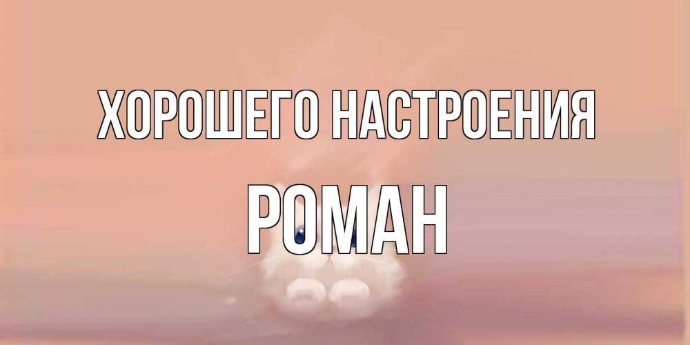 Открытка на каждый день с именем, Роман Хорошего настроения кошка Прикольная открытка с пожеланием онлайн скачать бесплатно 