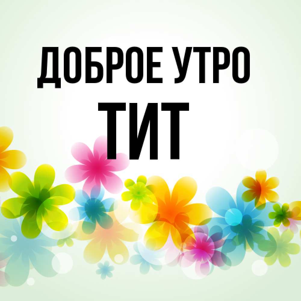 Открытка на каждый день с именем, Тит Доброе утро позитивные цветочки Прикольная открытка с пожеланием онлайн скачать бесплатно 