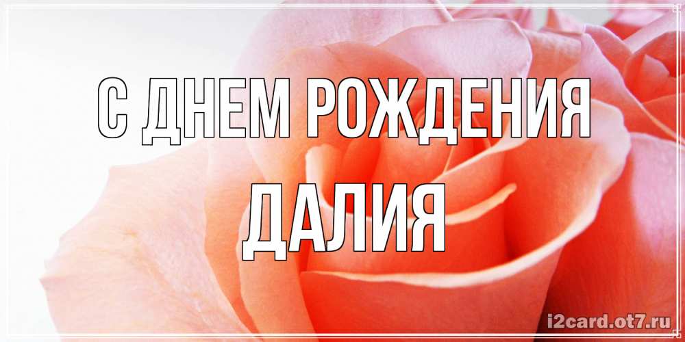 Открытка на каждый день с именем, Далия С днем рождения розы для поздравления с днем рождения Прикольная открытка с пожеланием онлайн скачать бесплатно 