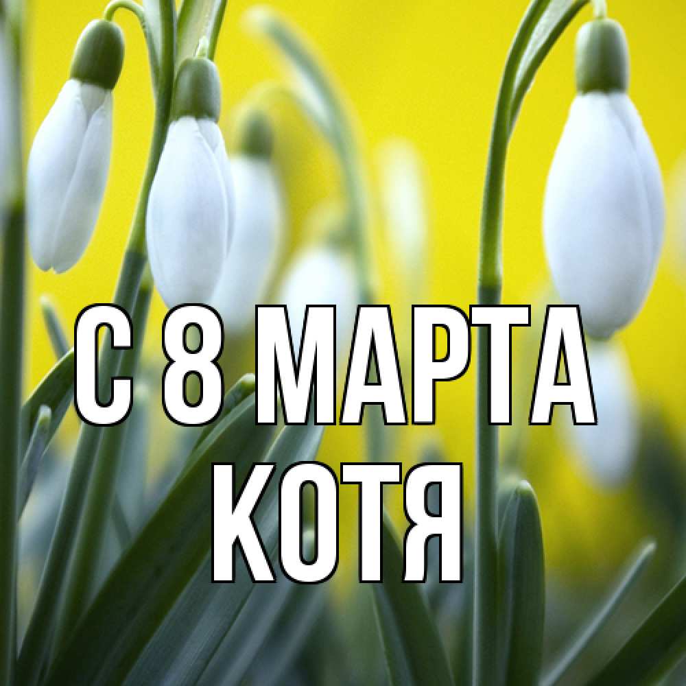 Открытка на каждый день с именем, Котя C 8 МАРТА весенние цветы Прикольная открытка с пожеланием онлайн скачать бесплатно 