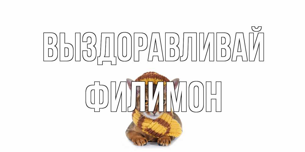 Открытка на каждый день с именем, Филимон Выздоравливай родные не болейте Прикольная открытка с пожеланием онлайн скачать бесплатно 