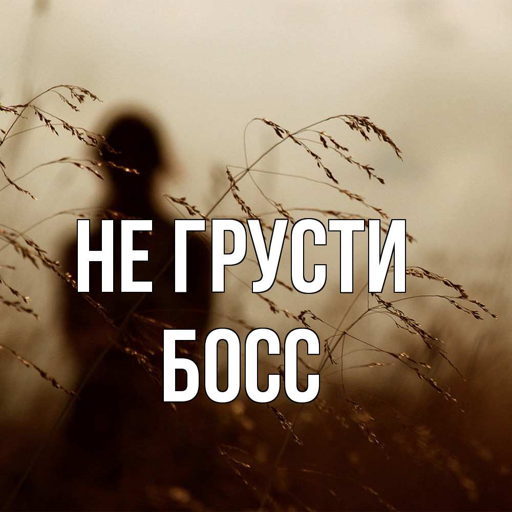 Открытка на каждый день с именем, Босс Не грусти грусть Прикольная открытка с пожеланием онлайн скачать бесплатно 