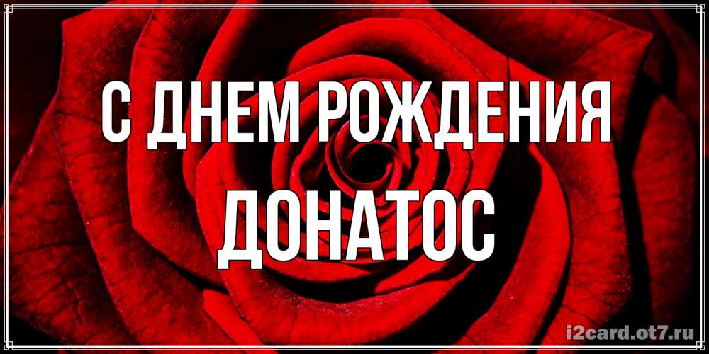 Открытка на каждый день с именем, Донатос С днем рождения алая роза Прикольная открытка с пожеланием онлайн скачать бесплатно 