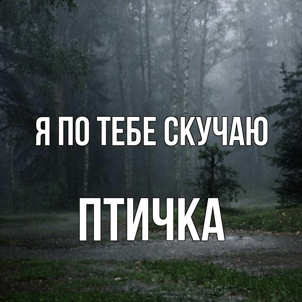 Открытка на каждый день с именем, Птичка Я по тебе скучаю одна и плохо мне Прикольная открытка с пожеланием онлайн скачать бесплатно 