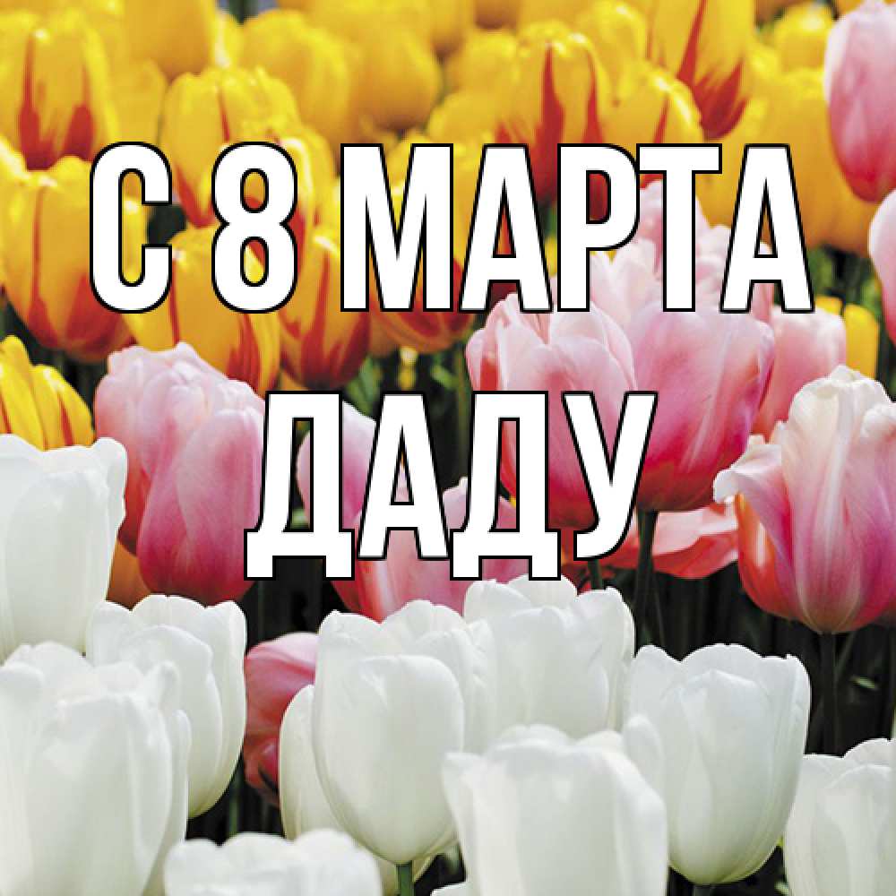 Открытка на каждый день с именем, Даду C 8 МАРТА разноцветные цветы Прикольная открытка с пожеланием онлайн скачать бесплатно 