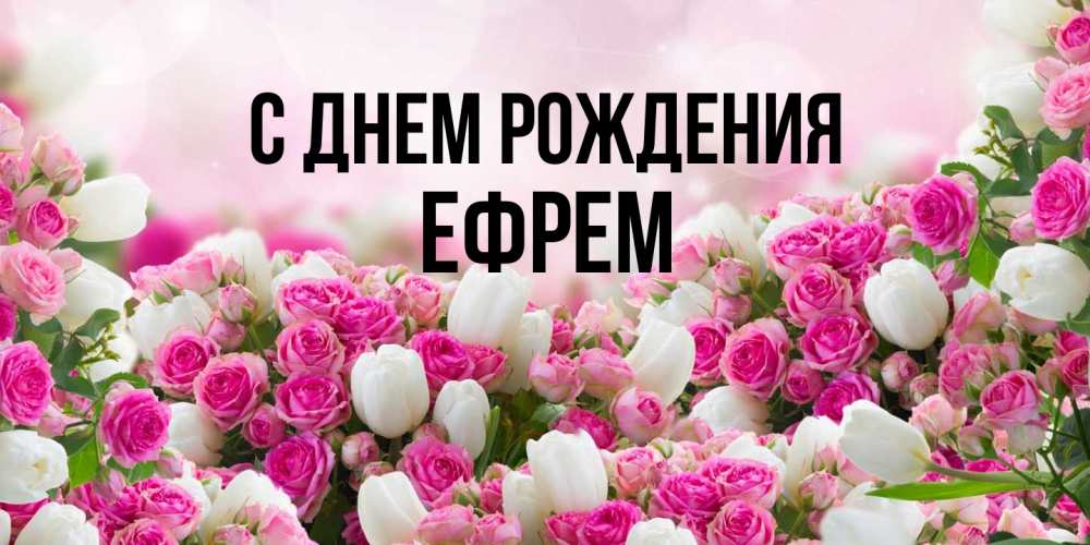 Открытка на каждый день с именем, Ефрем С днем рождения открытка с разными розами Прикольная открытка с пожеланием онлайн скачать бесплатно 