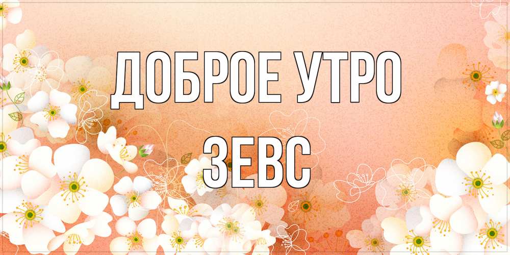 Открытка на каждый день с именем, Зевс Доброе утро доброе утро с цветами Прикольная открытка с пожеланием онлайн скачать бесплатно 