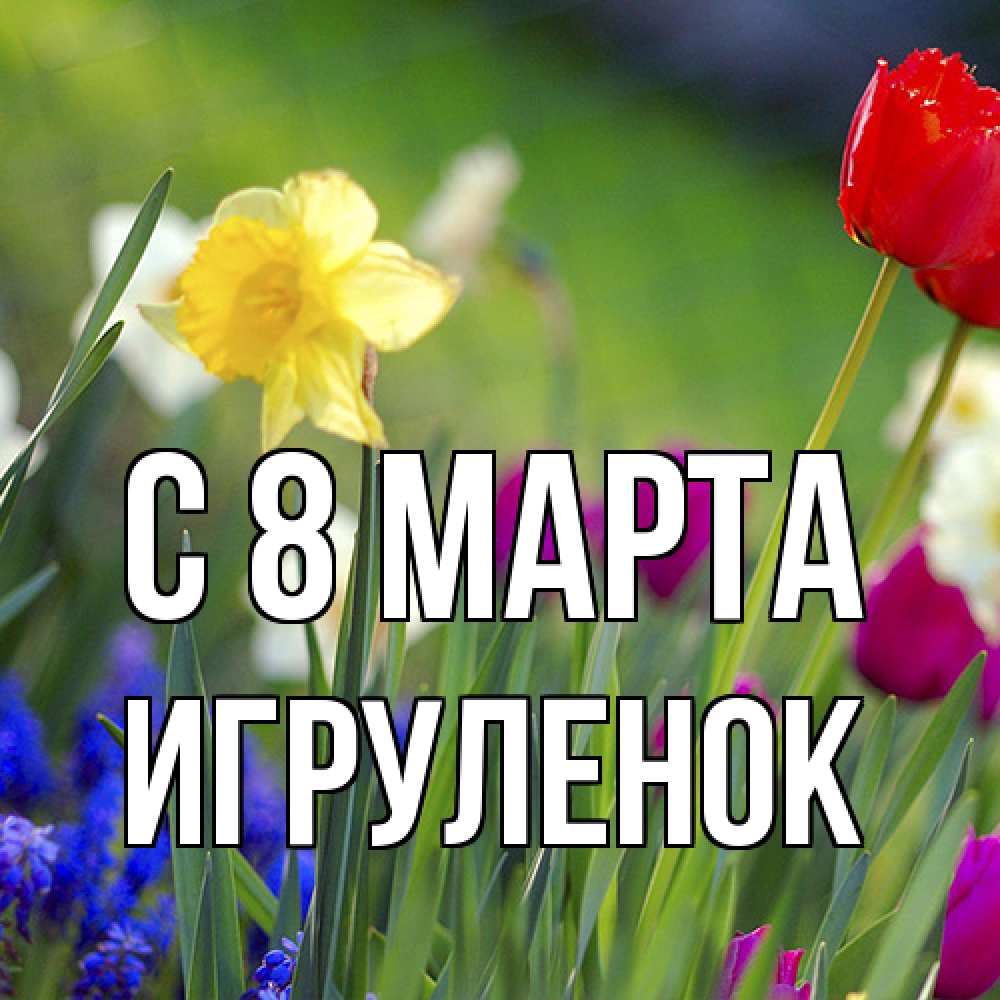 Открытка на каждый день с именем, Игpуленок C 8 МАРТА международный женский день 3 Прикольная открытка с пожеланием онлайн скачать бесплатно 