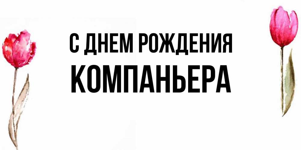 Открытка на каждый день с именем, Компаньера С днем рождения открытки акварелью с цветами Прикольная открытка с пожеланием онлайн скачать бесплатно 