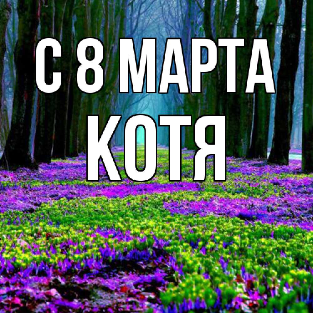 Открытка на каждый день с именем, Котя C 8 МАРТА фиолетовые цветы в лесу 1 Прикольная открытка с пожеланием онлайн скачать бесплатно 