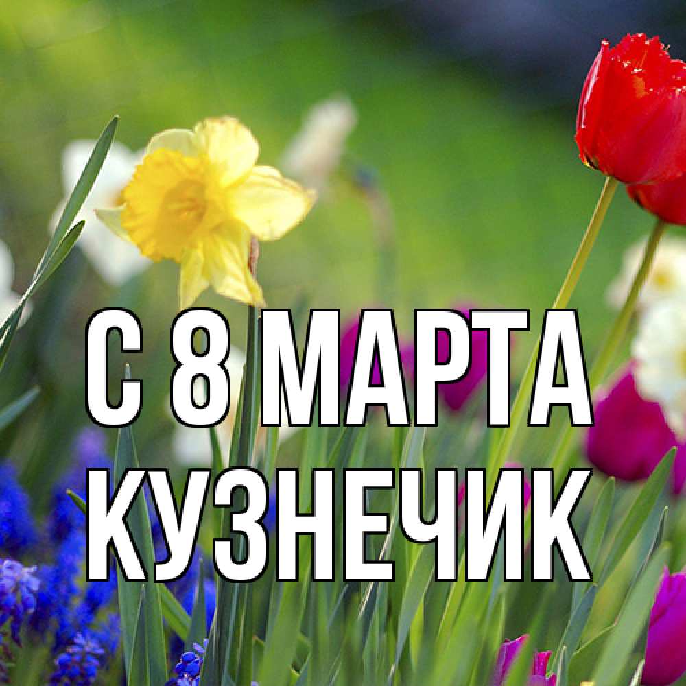 Открытка на каждый день с именем, Кузнечик C 8 МАРТА международный женский день 3 Прикольная открытка с пожеланием онлайн скачать бесплатно 