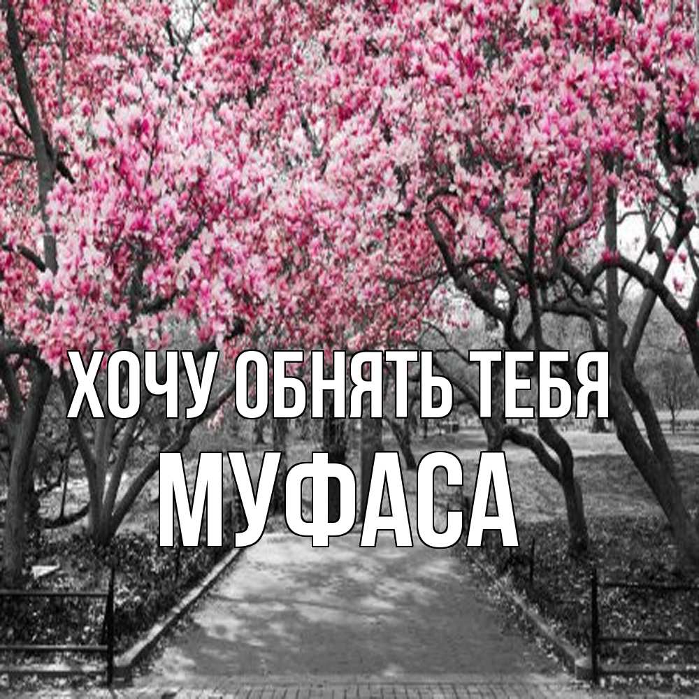 Открытка на каждый день с именем, Муфаса Хочу обнять тебя обработанное фото Прикольная открытка с пожеланием онлайн скачать бесплатно 