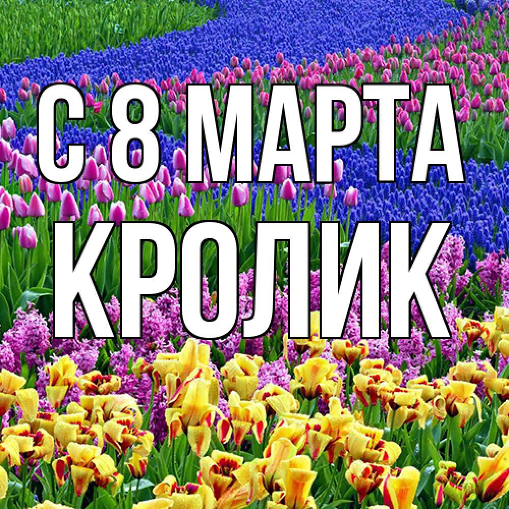 Открытка на каждый день с именем, кролик C 8 МАРТА цветы Прикольная открытка с пожеланием онлайн скачать бесплатно 