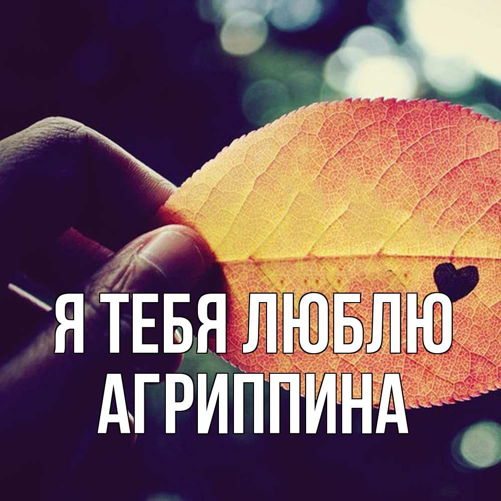 Открытка на каждый день с именем, Агриппина Я тебя люблю держу лист Прикольная открытка с пожеланием онлайн скачать бесплатно 