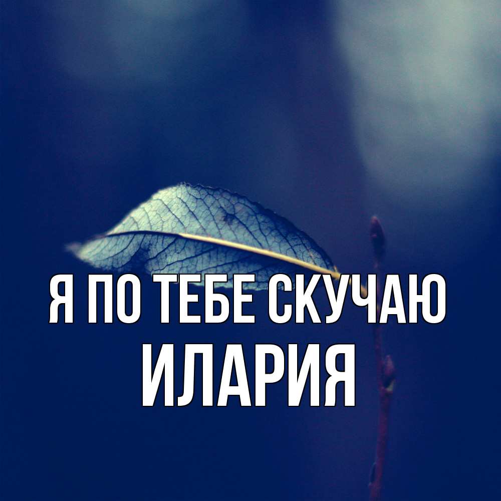 Открытка на каждый день с именем, Илария Я по тебе скучаю одна ветка 1 Прикольная открытка с пожеланием онлайн скачать бесплатно 