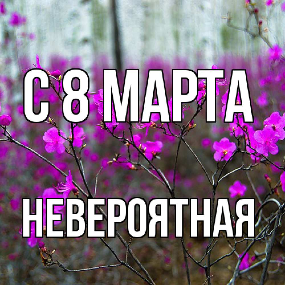 Открытка на каждый день с именем, невероятная C 8 МАРТА дикие цветы Прикольная открытка с пожеланием онлайн скачать бесплатно 