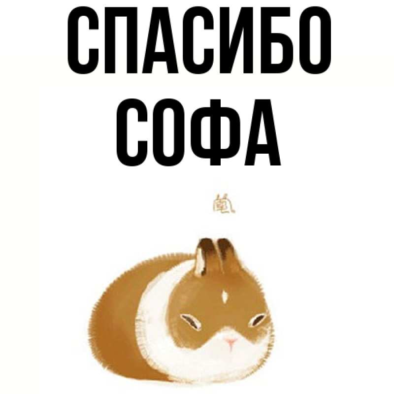 Картинка Спасибо, Софа