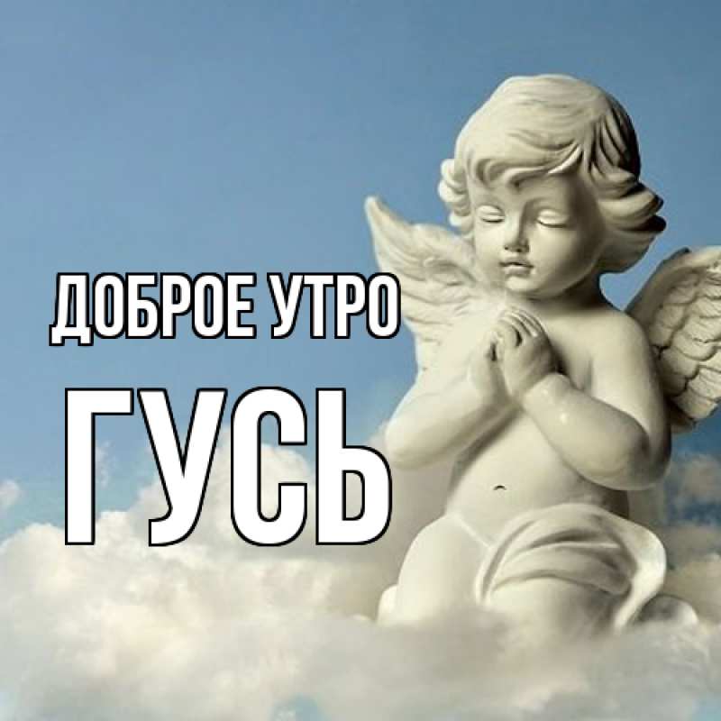 Картинка Доброе утро, Гусь