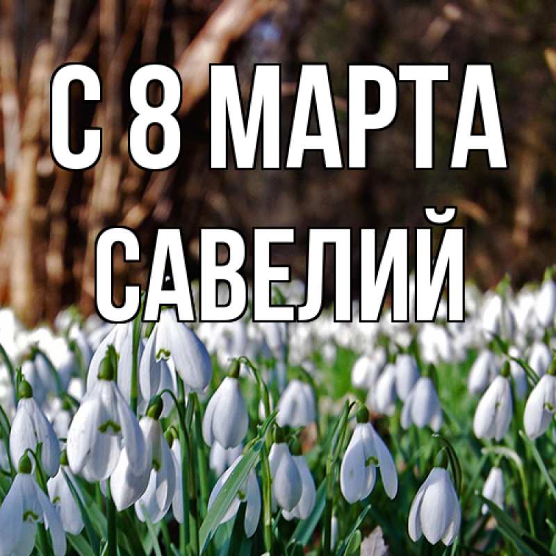Картинка C 8 МАРТА, Савелий